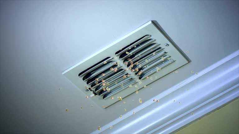 Best Air Duct Mold Removal  in Montclair State University, NJ